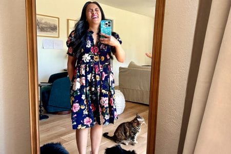 The Case of the Missing Pencil | New Work Dress | Grab This at Trader Joe’s ASAP
