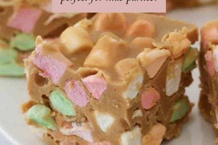 4 Ingredient Peanut Butter Marshmallow Squares | No Bake Recipe