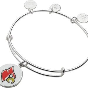 Alex and Ani Collaborations Expandable Bangle for Women, Collegiate Charms, Shiny Finish, 2 to 3.5 in