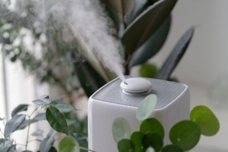 Can a Humidifier Help Prevent Winter Skin Problems?