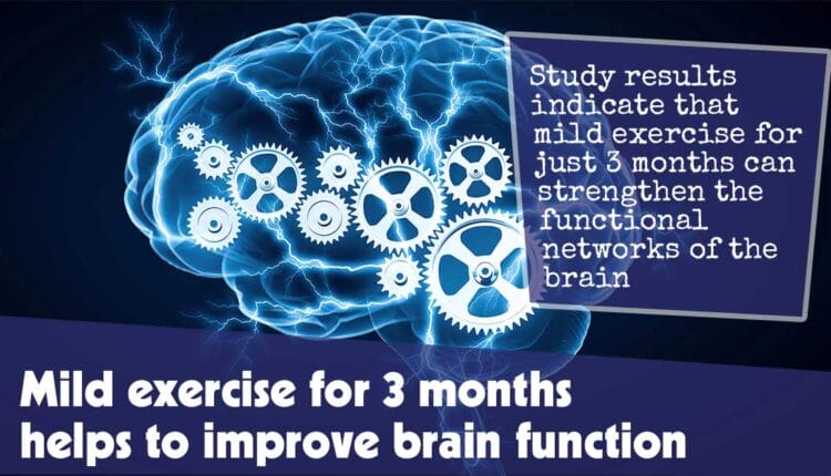 Mild Exercise For 3 Months Helps To Improve Brain Function F