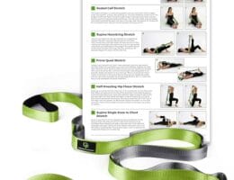 Gradient Fitness Stretching Strap for Physical Therapy, 12 Multi-Loop Stretch Strap 1″ W x 8′ L, Neoprene Handles, Physical Therapy Equipment, Yoga Straps for Stretching, Leg Stretcher.