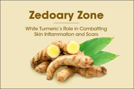 Zedoary / White Turmeric / Curcuma zedoaria: Ayurvedic Uses