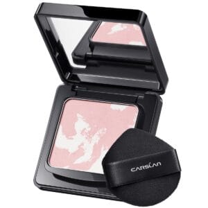 Waterproof Face Pressed Powder Compact, 24H Longlasting Oil Control Pressed Setting Powder Talc-Free Makeup, Shine Free, Poreless, Smooth, 04 Pink for dry&com skin (0.28Oz)